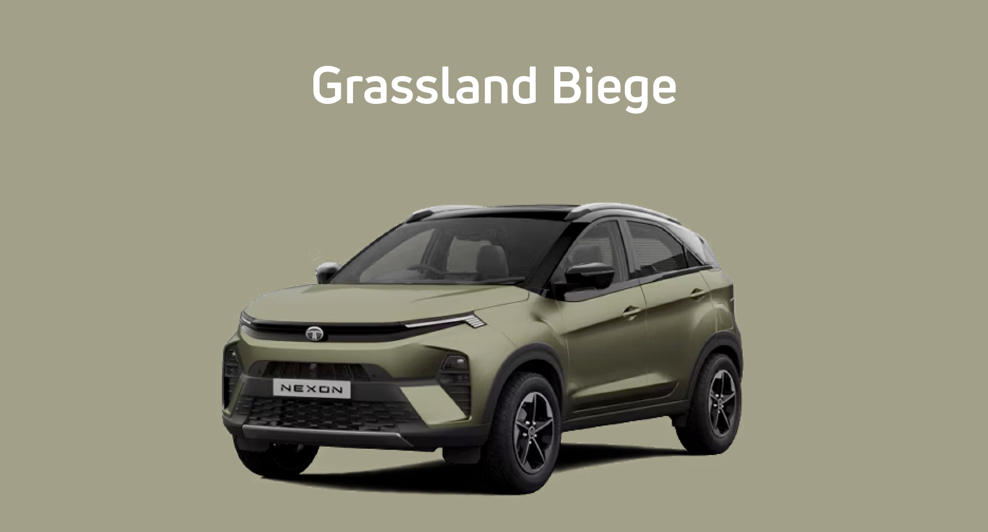 Tata Nexon Flame Red Color Variant