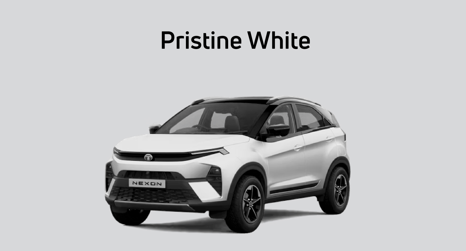 Tata Nexon Daytona Grey Color